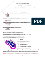 Cellular Respiration Review Worksheetkey