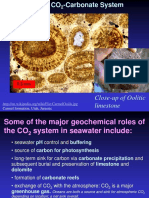 Close-Up of Oolitic Limestone: Carmel Formation, Utah, Jurassic