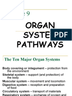 Organ System Nat Sci2