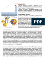 Tutoria 6 - Doenças Pulmonares