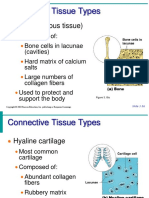 Tissues Presentation Unit One Part 2