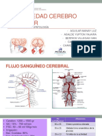 Enfermedad Cerebro Vascular