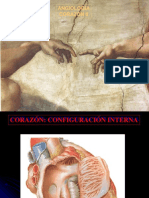 Presentacion Anatomia Del Corazón