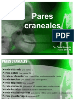 Investigación - Pares Craneales