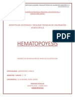 Hematopoyesis Leucemias y He Most Asia