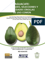 Aguacate Variedades Selecciones y Variedades Criollas de Uso Comun