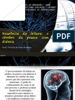 Slide 02 - Neurônios Da Leitura - o Cérebro Da Pessoa Com Dislexia