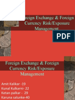 Final FX Risk & Exposure Management