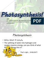 Photosynthesis