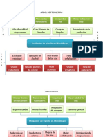 Arbol de Problemas y Objetivos