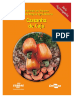 Projeto Castanha de Caju