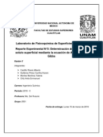 Informe Determinación Del Exceso de Soluto Superficial Mediante La Ecuación de Adsorción de Gibbs