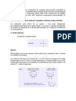 Estructura Primaria de La Molécula: Esqueleto Covalente y Bases Laterales