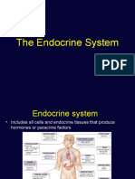 2304 Endocrine