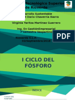 Ciclo Del Fósforo