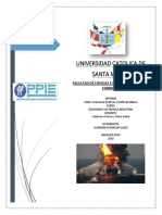 CASO Del Derrame de Petroleo en El Golfo de Mexico