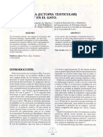 Descenso Testicular PDF