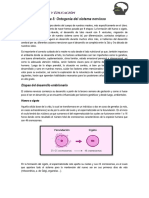 Tema 5 Ontogenia Del Sistema Nervioso