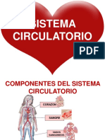 Sistema Circulatorio