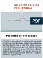 Desarrollo de La Vida Intrauterina