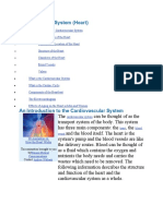 Cardiovascular System (Heart) : o o o o o