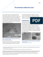 Rumen Protozoa: The Animals Within The Cow: Timothy J. Hackmann