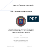 Evaluación Del Proceso de Producción de Carbón Vegetal de Residuos PDF