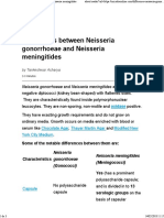 Neisseria Gonorrhoeae and Neisseria Meningitides