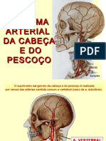 Sistema Arterial