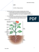 Functional Biology NOTES