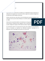 Informe 1 Micro