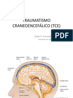 Traumatismo Craneoencefálico (Tce)