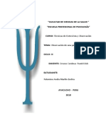 Observación A Una Persona de 15 Minutos