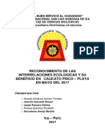 Informe de Caucato