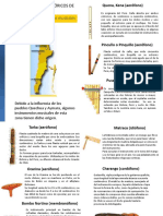 Instruemntos Chile