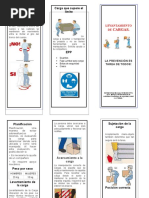 Triptico de Levantamiento de Cargas 01