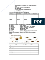 Exammensual6to Iiibm