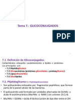 Tema 7. Gliconjugados