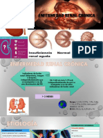 Enfermedad Renal Cronica