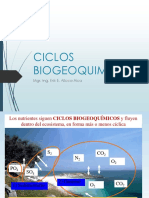 Ciclos Biogeoquimicos