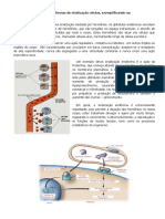 Transdução de Sinais