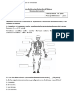 Prueba Sistema Locomotor