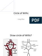 Circle of Willis: Ling Kho