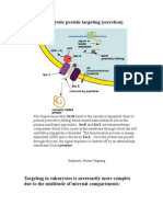 Protein Sorting