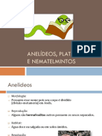 Aula 7º Ano Anelideos Platelmintos e Nematelmintos