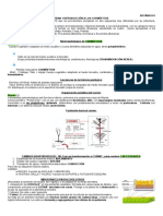 Botánica II Apuntes Total PDF