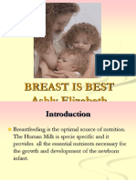 Multimedia Presentation Breast Feeding