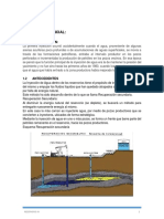 Informe Campo Patujusal