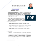 Curriculum Vitae - Hernan Huillca