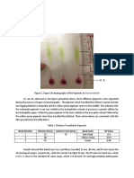 Band Number Distance (MM) Solvent Front (MM) Band Color RF Value